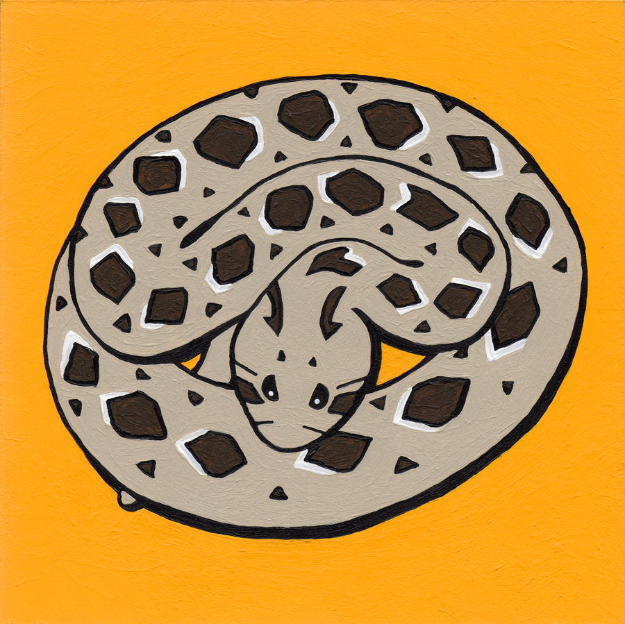 "Massasauga Rattlesnake" - Acrylic Paint On Panel - 6"x6"