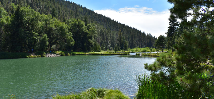 The Red River has been repeatedly dammed to create fishing ponds which are a popular spot for families and ducks.