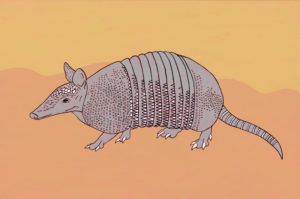 Armadillo - Painting