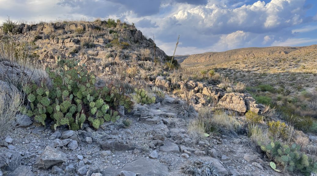 Hot Springs Canyon Trail in Big Bend National Park