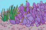 Purple Prickly Pear - Painting