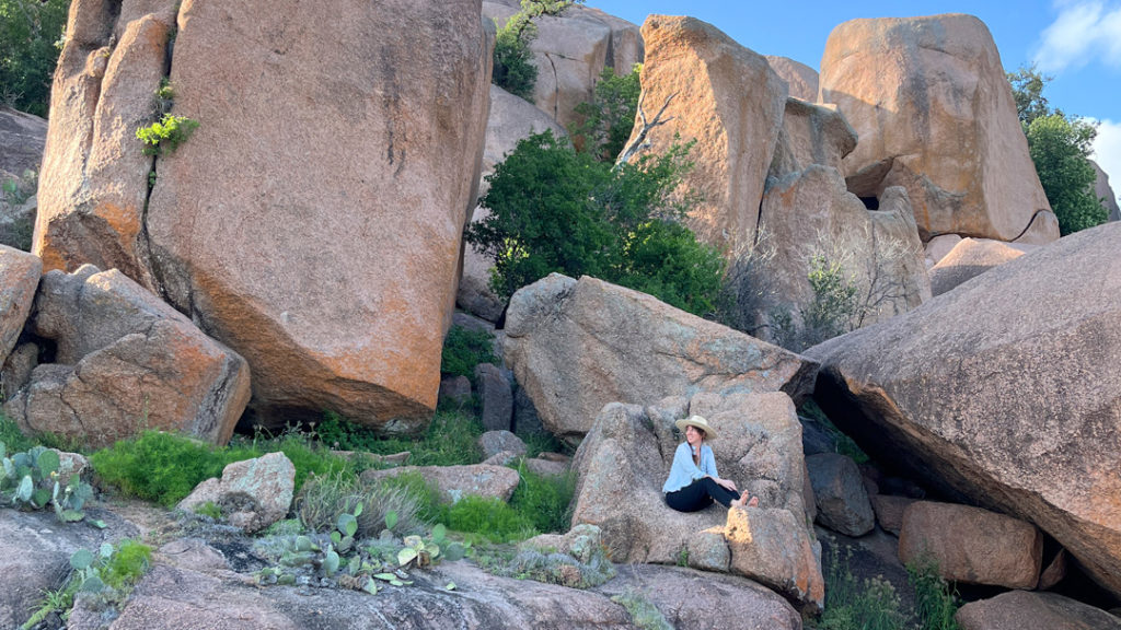 Cara sitting in the middle of a rocky landscape.