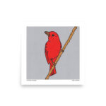 Summer Tanager - Art Print