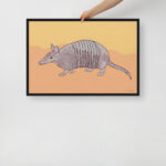 Armadillo - Canvas Print